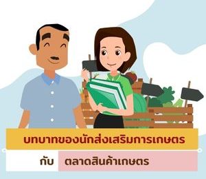 บทบาทของนักส่งเสริมการเกษตรกับตลาดสินค้าเกษตร