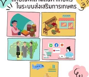 ลักษณะตลาดสินค้าเกษตรในระบบส่งเสริมการเกษตร