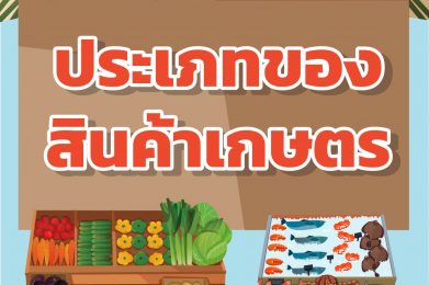 ประเภทของสินค้าเกษตร