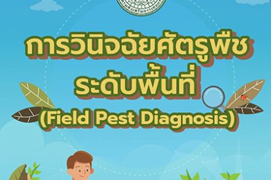 การวินิจฉัยศัตรูพืชระดับพื้นที่ (Field Pest Diagnosis)