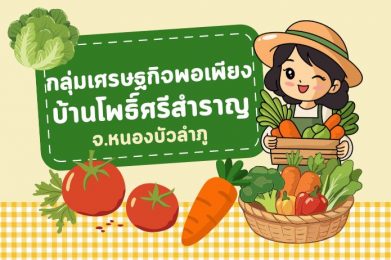 กลุ่มเศรษฐกิจพอเพียงบ้านโพธิ์ศรีสำราญ จังหวัดหนองบัวลำภู